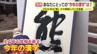 あなたにとっての“今年の漢字”は？　「5人目の子供が生まれ”幸”」　「寒暖差で頭痛や疲れが…”不”」
