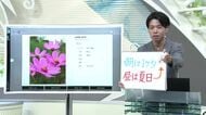 【エンドトーク】「朝は1桁気温・昼は夏日」30日のポイント＆きょうの1枚　山形