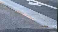 “イヤホン運転”の高校生が接触 車道に倒れた高齢男性 トラックにひかれ即死