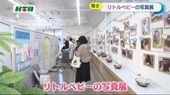 長崎市で「リトルベビーの写真展」赤ちゃんの生きる力や命の尊さ感じる