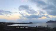 21年連続で琵琶湖に現れる