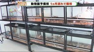 動物園予備校が1ヵ月遅れで開校 2年間動物の飼育や管理学ぶ
