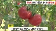 「灯油も袋も値上げ…」中東情勢の“波”が直撃　トマト農家と包装資材店の切実な現場