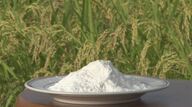 小麦粉高騰で注目の「米粉」　国産”安心感にグルテンフリー…プロおすすめのレシピ紹介【長野発】