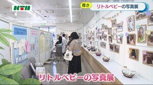 長崎市で「リトルベビーの写真展」赤ちゃんの生きる力や命の尊さ感じる
