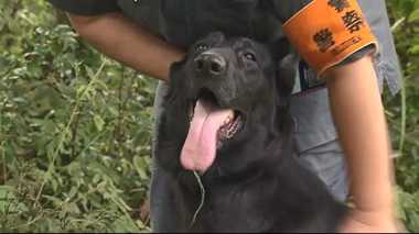 わずか3分で行方不明者を発見した警察犬!犯罪捜査での活躍も期待されているその嗅覚に迫った