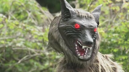 「お前だけは許さない！」クマを寄せ付けない“モンスターウルフ”で新対策　ファミリーマートで初の実証実験開始