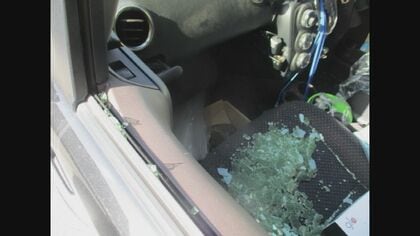 住宅街に鹿!?車と衝突し窓大破…修理に約70万円　意外に多い 野生動物と遭遇した時の心得【三重発】