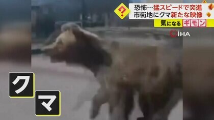 捕まった 茨城県警察本部（公式） on X: 