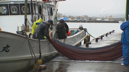 「こんなにいないのは初めて」不漁で3回休漁のシロエビ漁が再開　しかし数匹ほどの水揚げ  「震災でかなりの数が死んでしまったのか…」