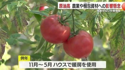 「灯油も袋も値上げ…」中東情勢の“波”が直撃　トマト農家と包装資材店の切実な現場