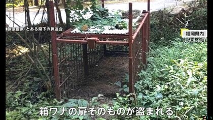 害獣駆除の「箱罠」に妨害行為相次ぐ 扉を蹴り上げて閉める不審人物も