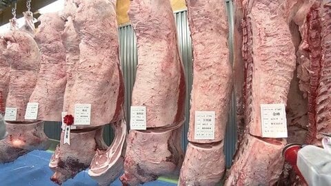 1頭約322万円のグランドチャンピオン誕生　高校生は鹿屋農業高校が金賞、鹿児島黒牛の実力