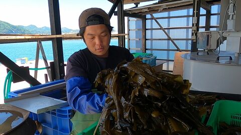 出雲の“海の宝”を絶やさない…兵庫の山間から移住し漁師に転身　伝統のワカメ漁を次の世代へ【島根発】　