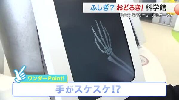 画像が削除されました