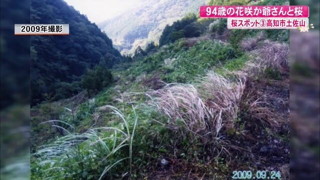 14年前 荒れ地だった場所に桜の木を