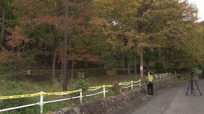 クマ2頭が目撃された公園の周辺