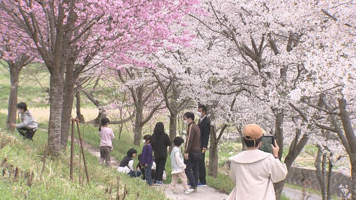 長勝寺の境内を散策して撮影