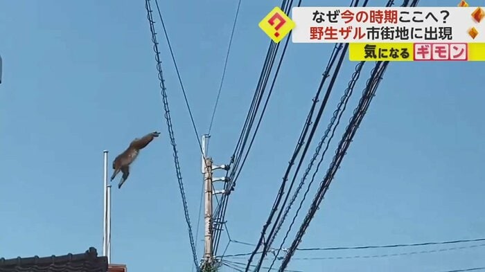 近くの建物にジャンプ…そのまま姿を消した