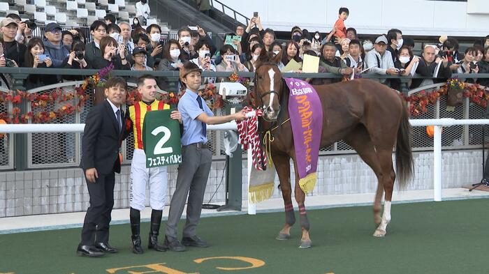 ファンタジーSを制したフェスティバルヒル