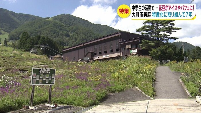エイブル白馬五竜スキー場