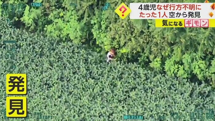 男の子は畑を歩いていた