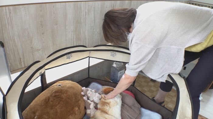 息を引き取ったティムをなでる佐藤さん