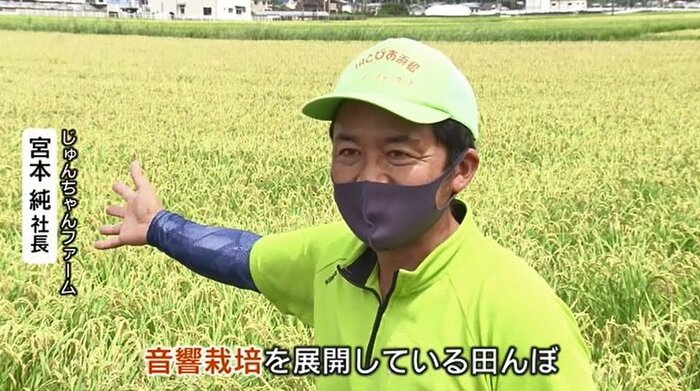 「音響栽培」を始めたじゅんちゃんファームの宮本純さん