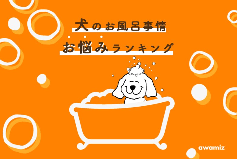 【犬のお風呂!お悩みランキング】1038人の飼い主の声から学ぶヒントと解消法をご紹介