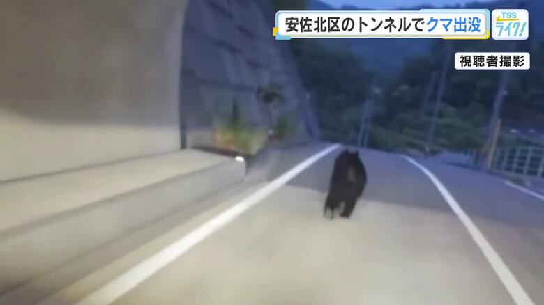 トンネルを爆走・フェンスを越えたクマの衝撃映像 広島・安佐北区で4月以降に約20件の目撃情報|FNNプライムオンライン