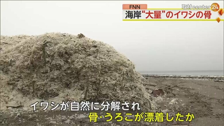 海岸に大量の“魚の骨とウロコ”　イワシ数千トンが自然分解　海岸は真っ白になるも…撤去しない意向　北海道・函館市｜FNNプライムオンライン