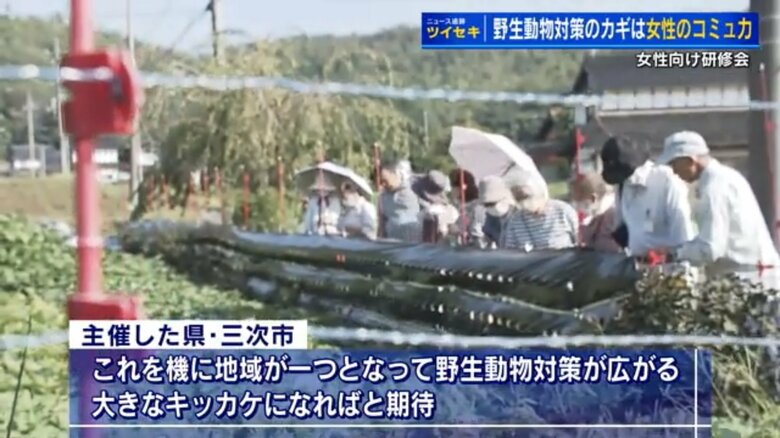 “女性のコミュ力”で地域を一つに　野生動物の被害対策に女性のネットワーク、行動力を生かす【広島発】｜FNNプライムオンライン