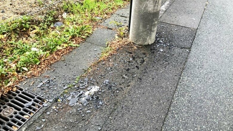 警視庁の41歳警察官が「酒酔い」で他人の車を勝手に運転…電柱などに衝突　「覚えない」と容疑否認　原発警備で福井に派遣中｜FNNプライムオンライン