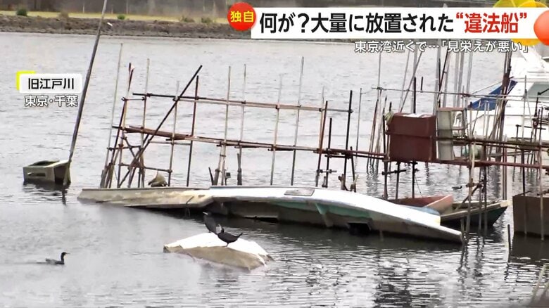 「船の墓場」が旧江戸川に…“水上の駐車違反”や無許可桟橋設置まで「もう無法地帯」洪水や火災の危険性に不安の声|FNNプライムオンライン