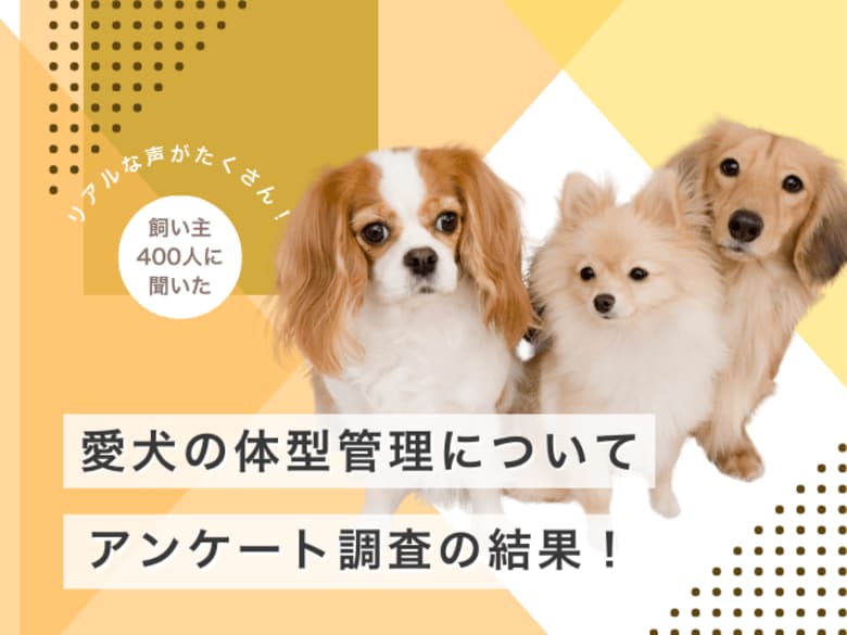 【飼い主400人に調査】愛犬の体型管理に関する驚きのアンケート結果！