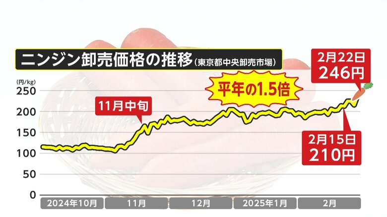 「農業16年従事して初めての経験」ニンジン価格が平年比1.5倍でサイズも細小に…スープカレー店など飲食店は大打撃　生育不良の原因は「雨不足」｜FNNプライムオンライン