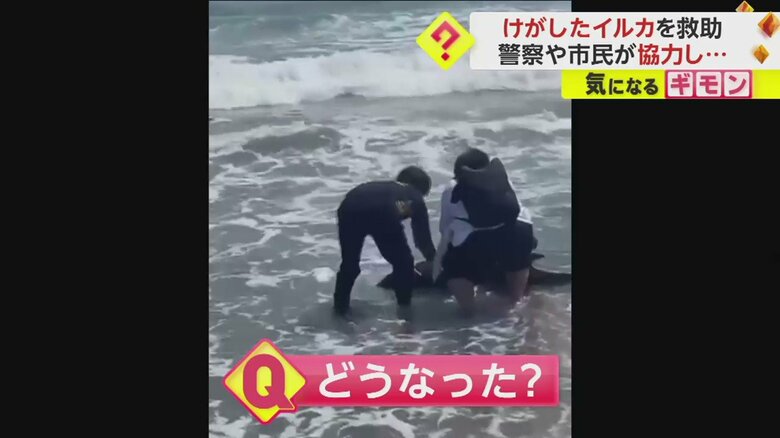 (FNN投稿サイト「ビデオPost」)