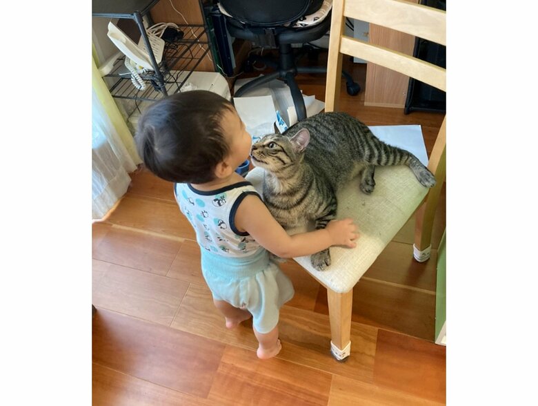 提供：かぎしっぽすず&つむぎさん