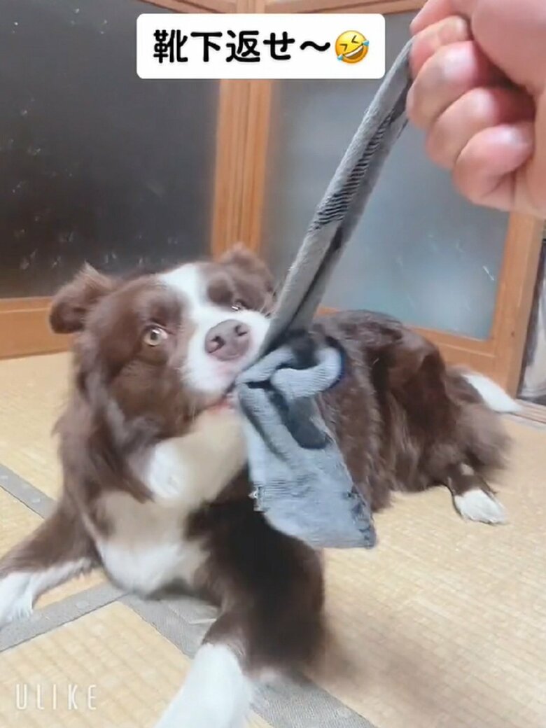 返してくれない！