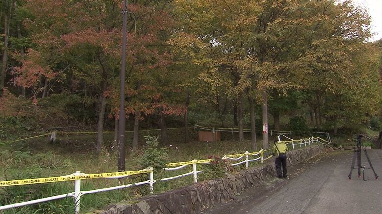 クマ2頭が目撃された公園の周辺