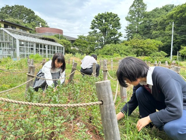 広大なキャンパスには農作業を行う畑もある