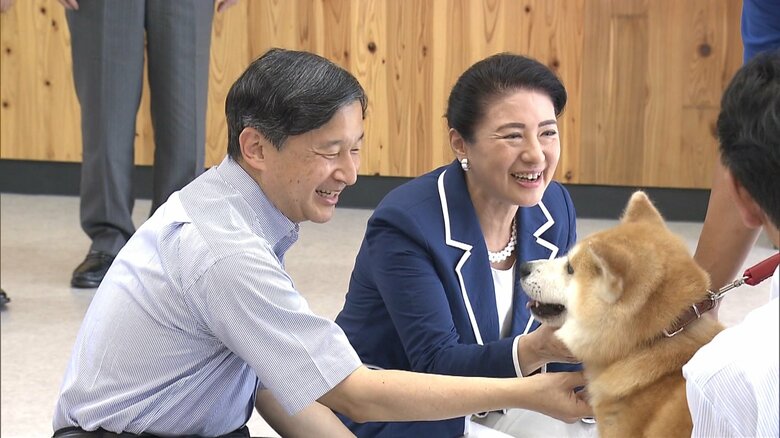 秋田県動物愛護センターでは秋田犬とふれあわれた　　2019年9月