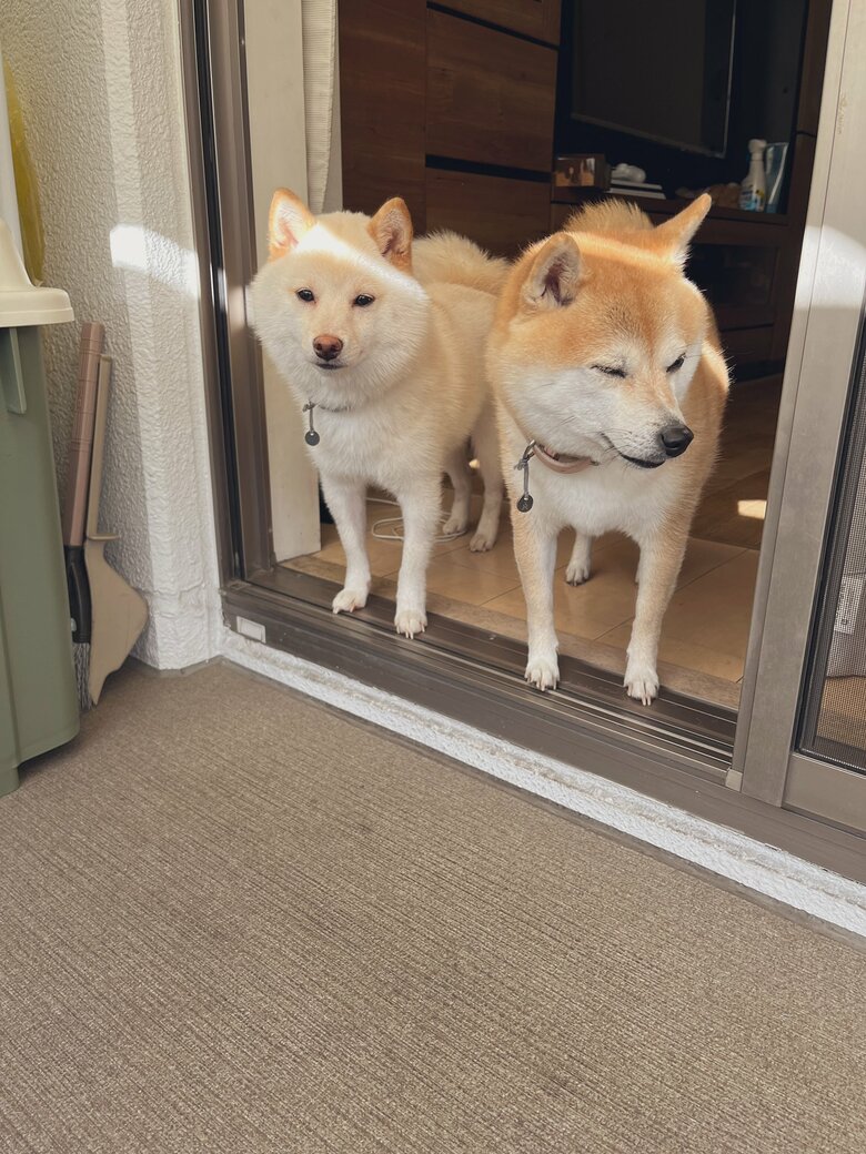 何か気になる2匹