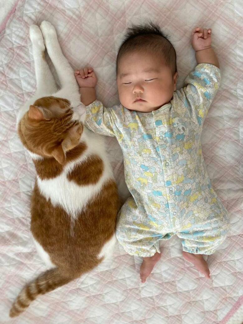 提供：Hassakuさん