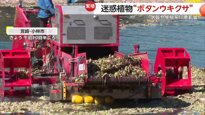 取っても取っても、きりがないという状況