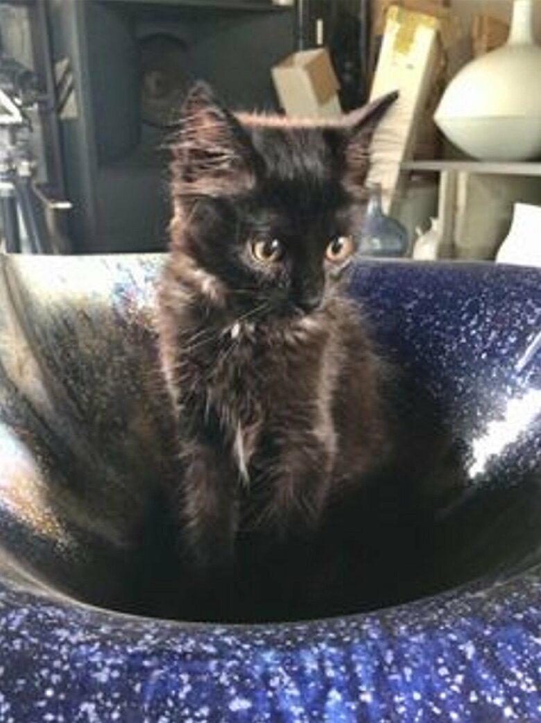 子どもの頃のネルソンくん　焼き物の中に入っている