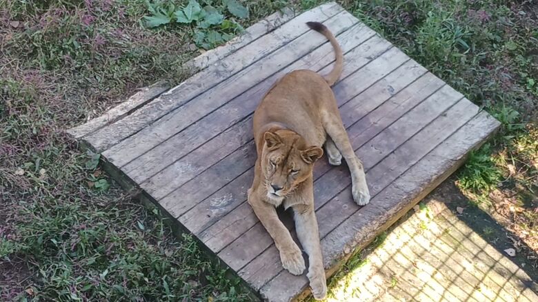 閉園したノースサファリサッポロ