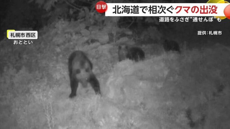 住宅の近くで確認されたクマたち（札幌市）