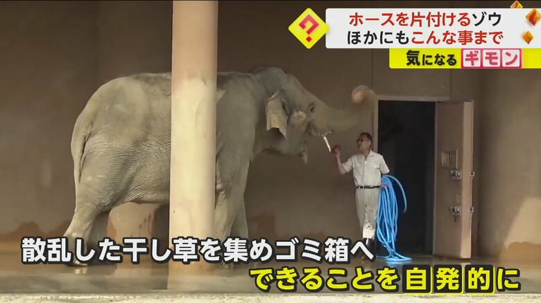 （撮影：らすかるさん）