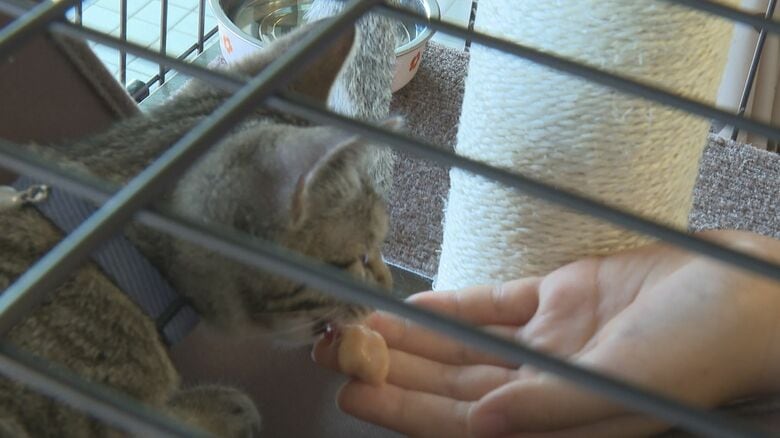 おやつを食べるあんじゅ